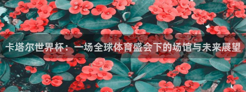 2026世界杯官网:卡塔尔世界杯:一场全球体育盛会下的场馆与未来展望