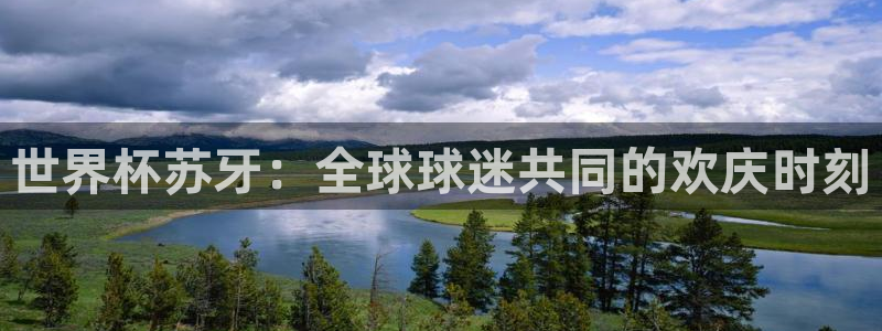 世界杯2026赛制:世界杯苏牙:全球球迷共同的欢庆时刻