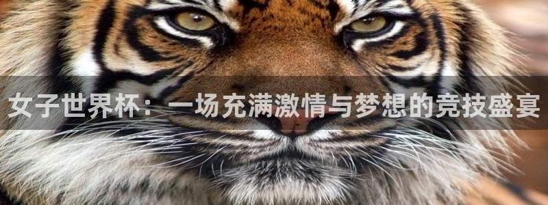 世界杯2026赛程:女子世界杯:一场充满激情与梦想的竞技盛宴