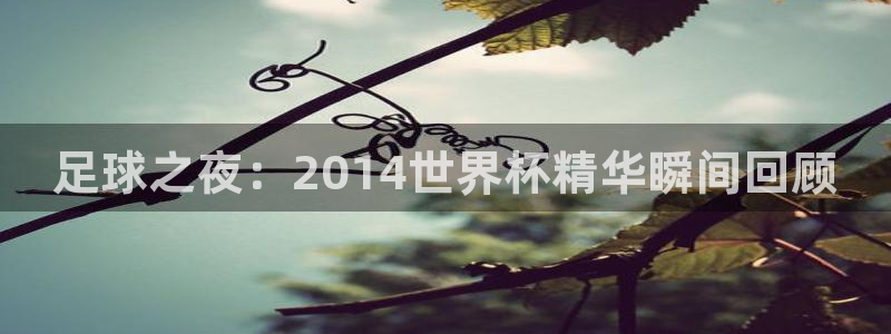 2026世界杯预选赛:足球之夜:2014世界杯精华瞬间回顾