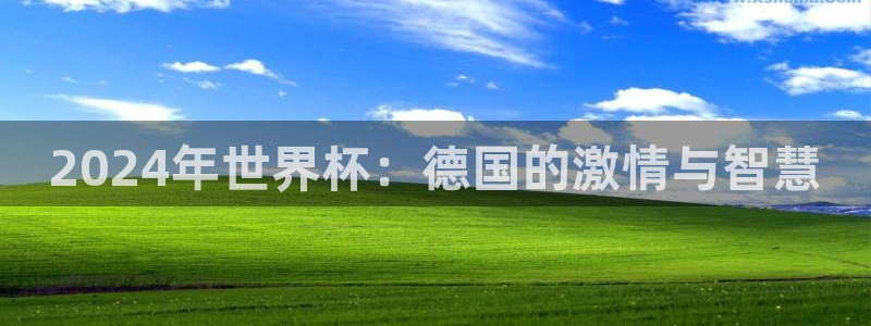 世界杯预选赛直播:2024年世界杯:德国的激情与智慧