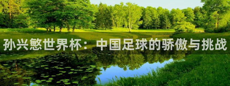 世界杯第一场比赛:孙兴慜世界杯:中国足球的骄傲与挑战