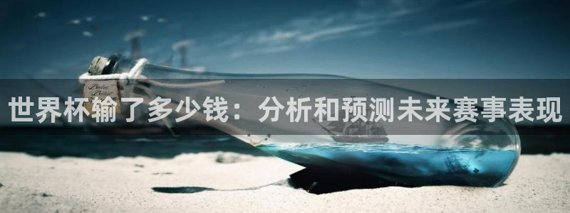 世界杯附加赛赛程表:世界杯输了多少钱:分析和预测未来赛事表现