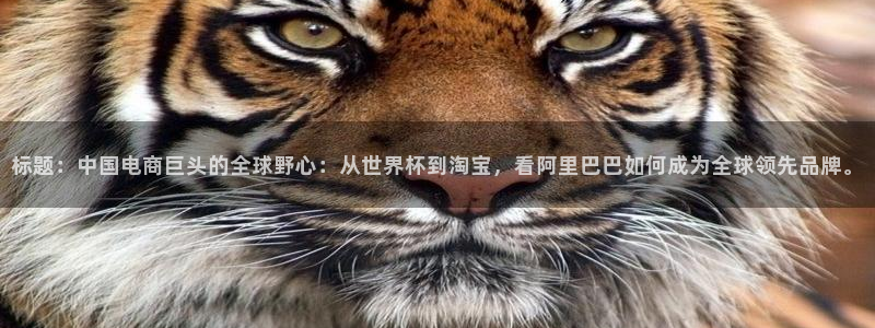 2026世界杯赛程:标题:中国电商巨头的全球野心:从世界杯到淘宝,看阿里巴巴如何成为全球领先品牌。